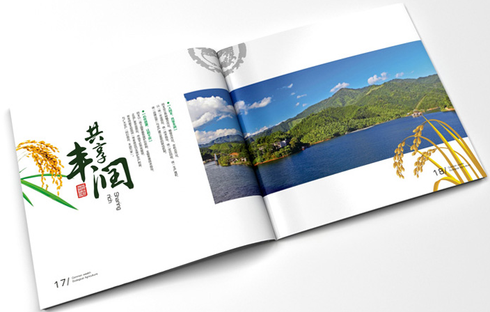 企業産(chǎn)品宣傳冊設計應注意的事項
